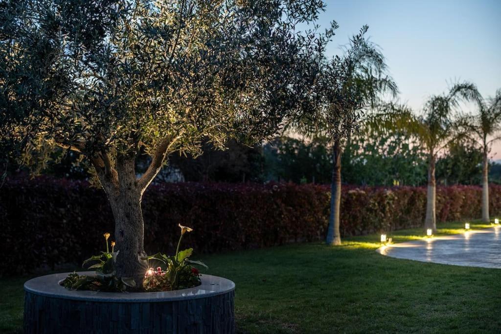 "Aeolos" Luxury Villa Preveza Exterior foto